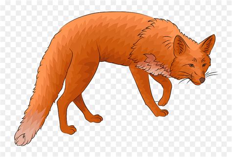Red Fox Clipart Png Download 5217142 Pinclipart