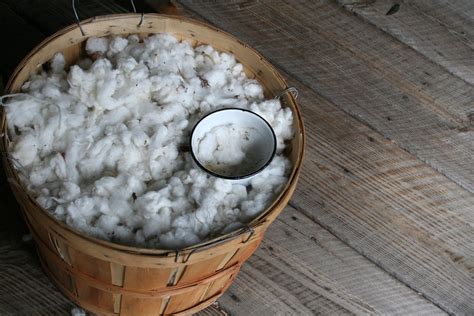 Cleaning The Cotton Free Photo Download Freeimages