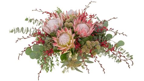 King Protea Centerpiece Youtube