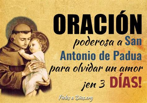 Oración Poderosa a San Antonio de Padua para Olvidar un Amor En 3 días