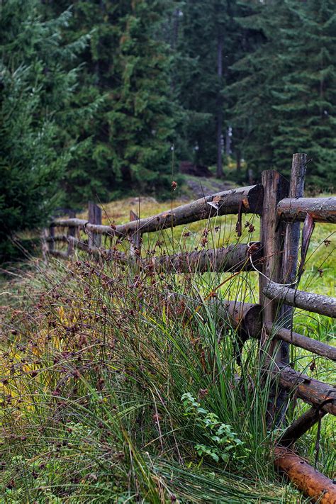 Fence Logs Grass Trees Hd Phone Wallpaper Peakpx