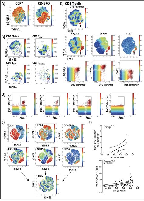 Anticytomegalovirus Cd4 T Cells Are Associated With Subclinical