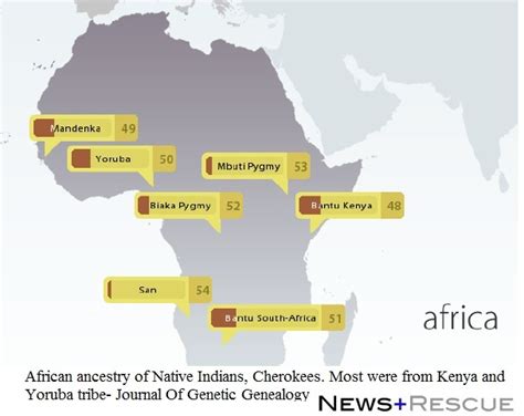 Melungeonnative American Dna Study Reveals Sub Saharan African
