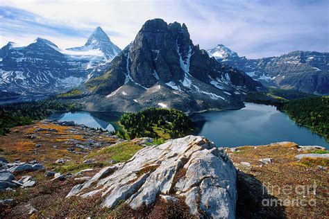 Mount Assiniboine Wedgewood Peak And Lakes Photograph By Darcy Leck