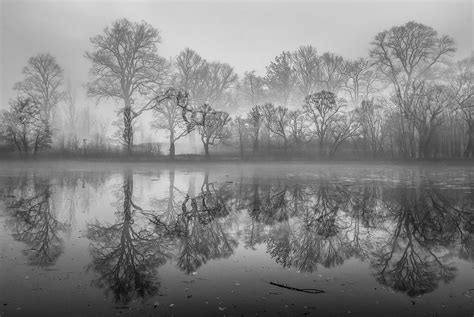 Misty Pond In Camera Double Exposure On Behance