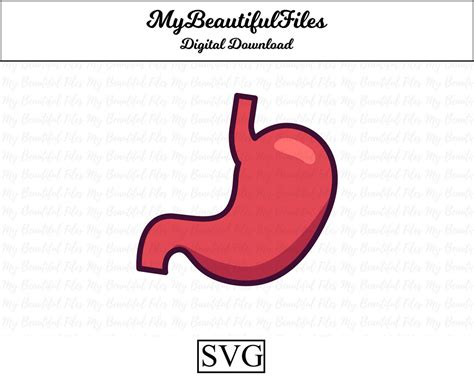 Stomach Svg Digital Download Stomach File For Printable Etsy