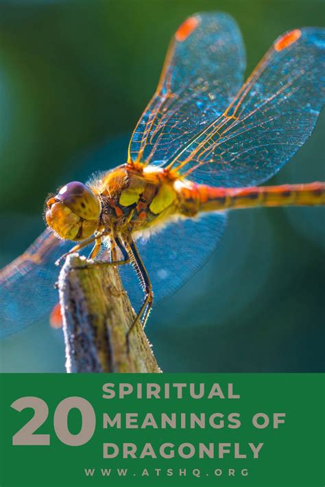 Dragonfly Symbolism 20 Spiritual Meanings Of Dragonfly
