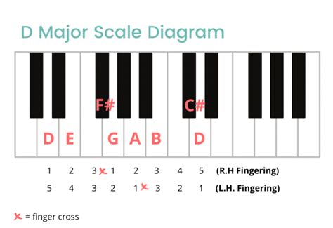 D Major Scale On The Piano Notes Fingerings And More