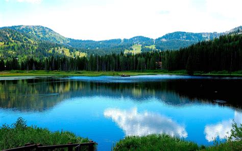 Download Wallpaper 2560x1600 Lake Mountains Trees Grass Hd Background