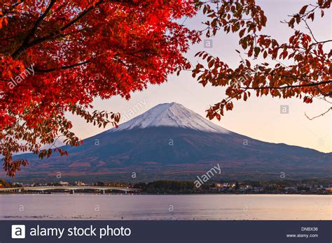 Mt Fuji With Fall Foliage In Japan Stock Photo 64800826