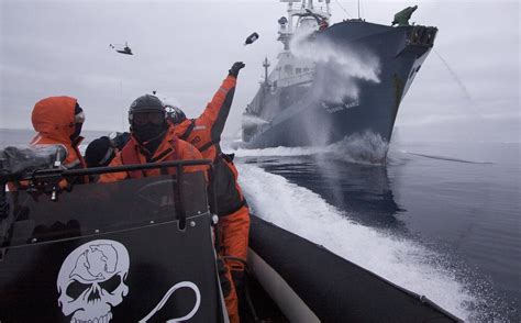 Sea Shepherd El Movimiento Internacional Para La Conservación De Los