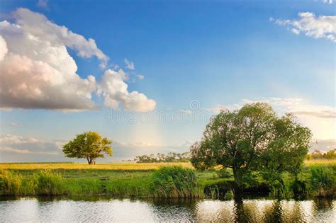 River Sky Summer Tree Landscape Nature Forest Stock Photo