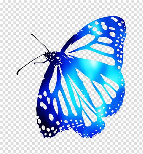 Microsoft Butterfly Clipart 10 Free Cliparts Download Images On