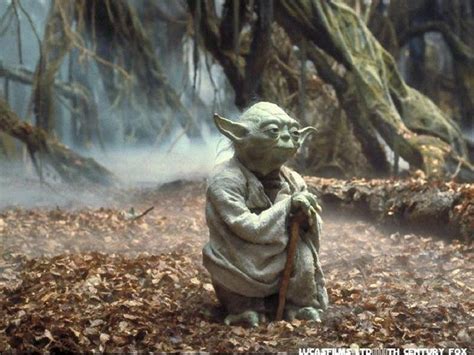 Maître Yoda La Force Star Wars Yoda Star Wars Quizzes Star Wars