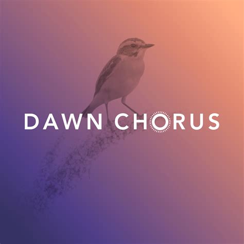 Dawn Chorus The Chorus Citizen Science