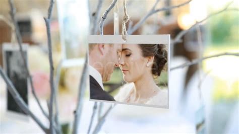 This after effects wedding template features 24 different image or video placeholders and 9 different text placeholders. VideoHive Photo Gallery at a Country Wedding - Adobe After ...