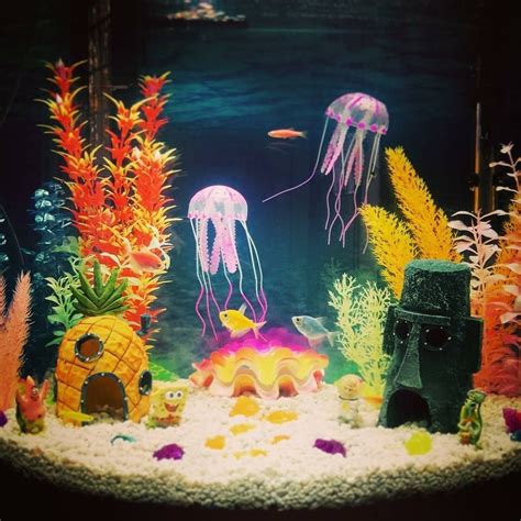 Spongebob Themed Aquarium Complete With Jelly Fish Kids Aquarium Fish
