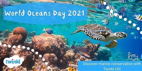 Exploring Conservation On World Oceans Day Twinkl