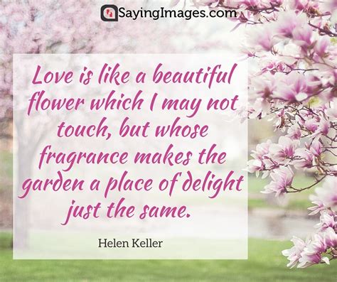 42 Beautiful Flower Quotes Word Porn Quotes Love Quotes