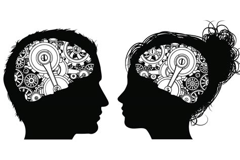 Cu Les Son Las Diferencias Entre El Cerebro Del Hombre Y La Mujer