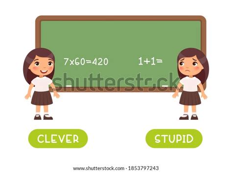 Clever Stupid Antonyms Word Card Vector Stock Vector Royalty Free