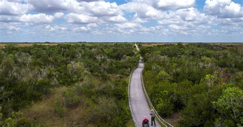 Accessible Travel Shark Valley In The Florida Everglades