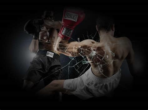 Kickboxing Wallpapers Top Free Kickboxing Backgrounds Wallpaperaccess