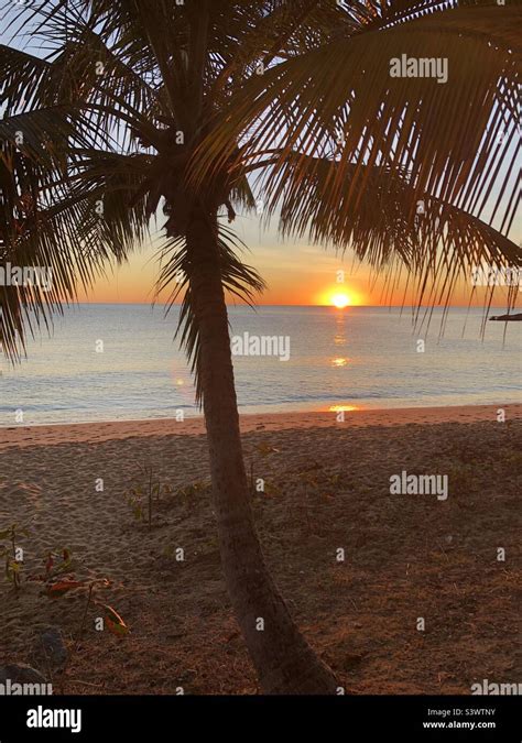 Sunrise Trinity Beach Australia Stock Photo Alamy