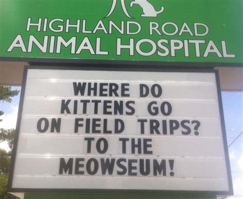 It will show everyone you're funny and prove you have a great sense of humor. 50 Genius Vet Signs That Will Make You Laugh | Cat jokes ...