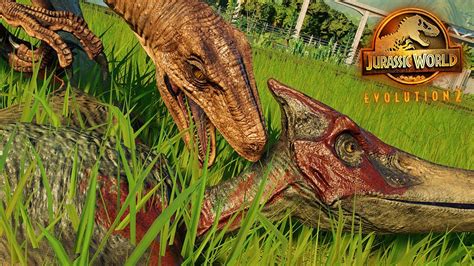 Raptors Attack Pterosaurs Pterosaur And Dinosaur Interactions In Jurassic World Evolution 2