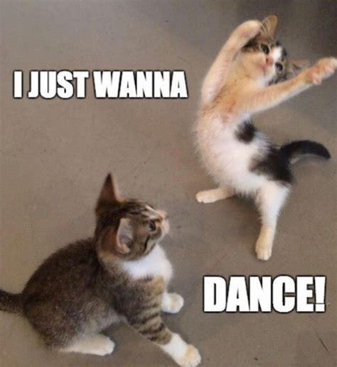 funny dance memes youll surely   good time  sayingimagescom