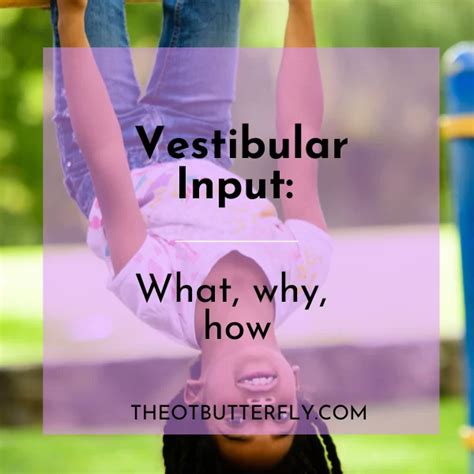 Vestibular Input What Why How The Ot Butterfly Official Website