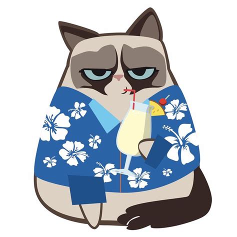 Grumpy Cat On Twitter Grumpy Cat Grumpy Cat Quotes Cartoon Toys