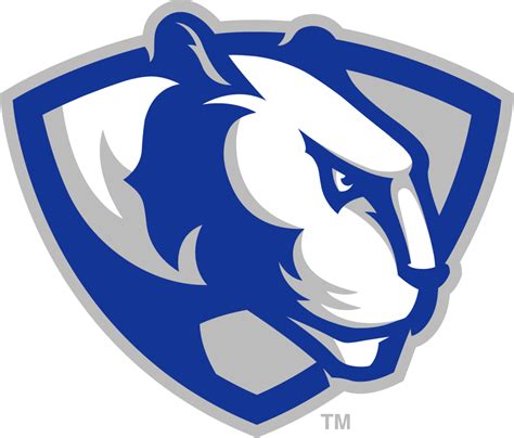 Eastern Illinois Panthers Partial Logo Ncaa Division I D H Ncaa D