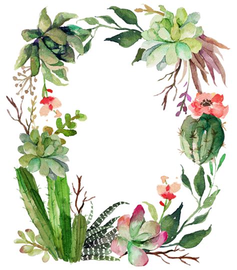 The christmas cactus is native to the south american jungles. Garland clipart cactus, Garland cactus Transparent FREE ...