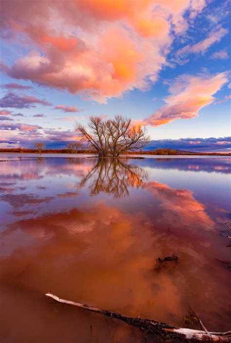 Dreamstime is the world`s largest stock photography community. Sunset in New Mexico 5304x7856 OC : EarthPorn