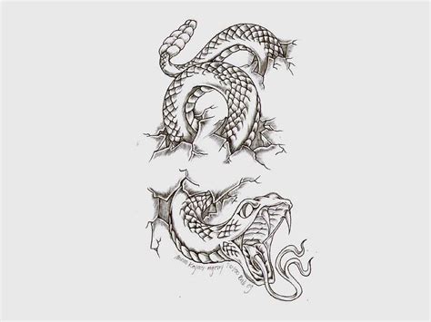 54 Latest Snake Tattoo Designs