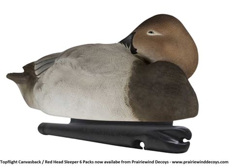 prairiewind decoys sale topflight canvasback red head sleeper duck decoy 6pk by avian x