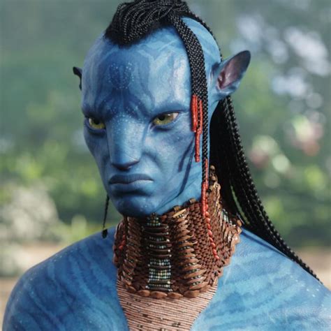 Tsutey Avatar Wiki Fandom Powered By Wikia