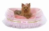 Princess Beds For Dogs Pictures