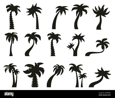 Palm Trees Silhouettes Tropical Botany Palm Tree Hawaiian Coconut