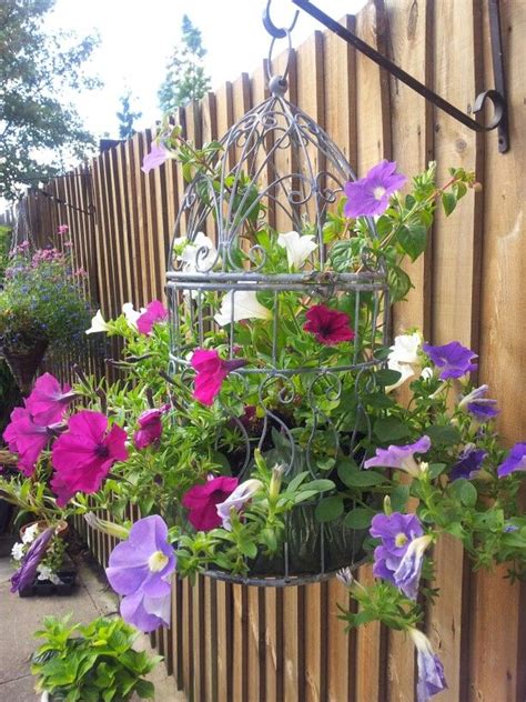 Bird Cage Hanging Basket Hanging Plants Outdoor Small