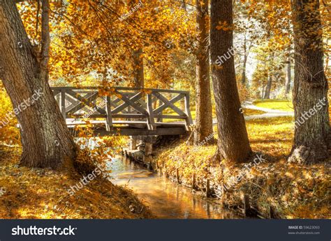 Autumn Scenery Beautiful Gold Fall Park Stock Photo