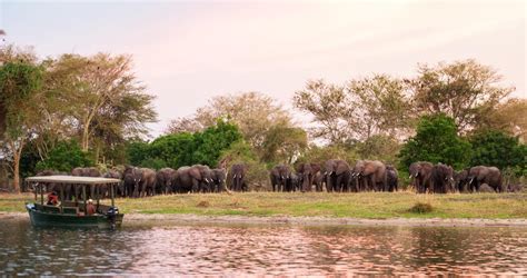 Liwonde National Park Malawi Safaris