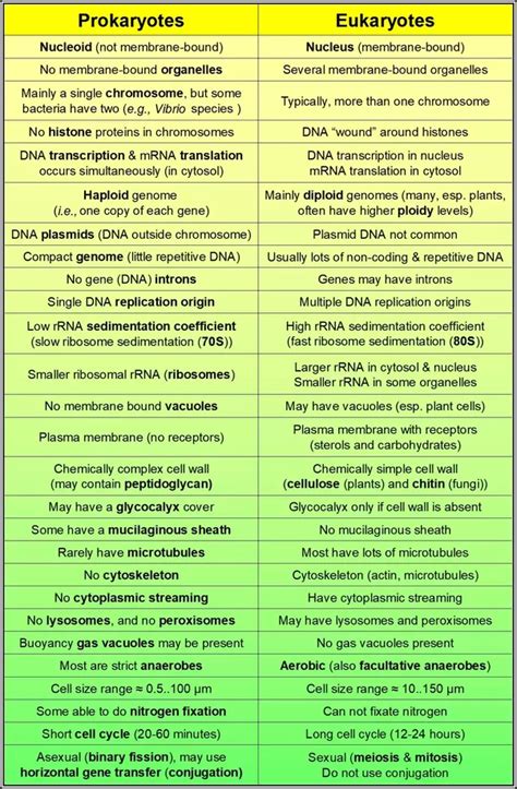 Entirely cells can be alienated into one of two classifications. 😂 What is the difference between prokaryotic and ...