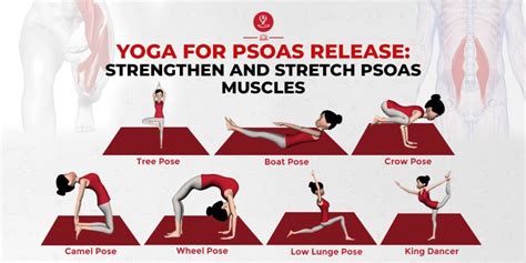Yoga For Psoas Release Strengthen And Stretch Psoas Muscles Psoas Release Psoas Muscle