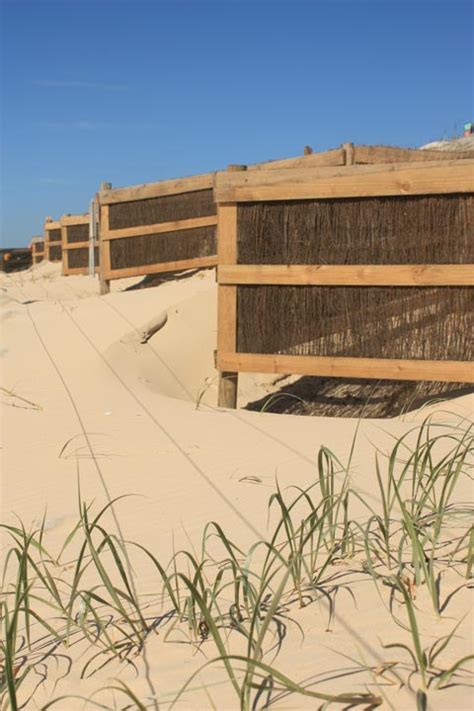 Marcoola Sand Dune Fence