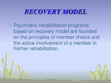 Ppt Psychosocial Rehabilitation And Recovery Model Powerpoint