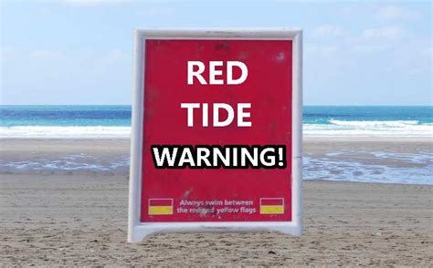 Can You Swim During Red Tide In The Florida Panhandle Travel Hop
