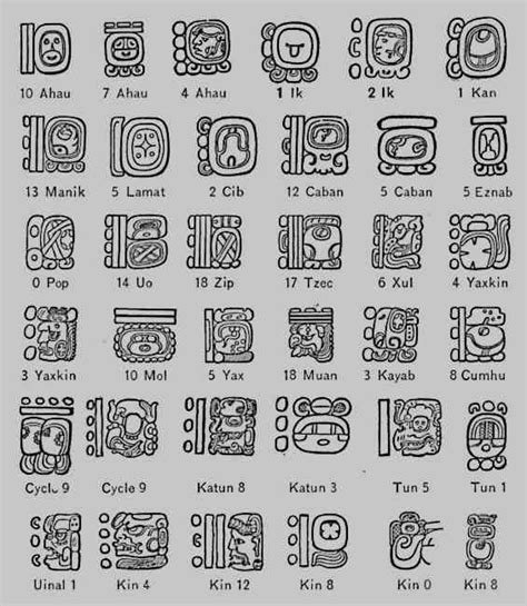 Maya Hieroglyphics Mayan Art Mayan Symbols Mayan Tattoos